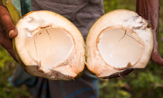 Les noix de coco bio du Sri Lanka pour les produits Jardin BiO étic